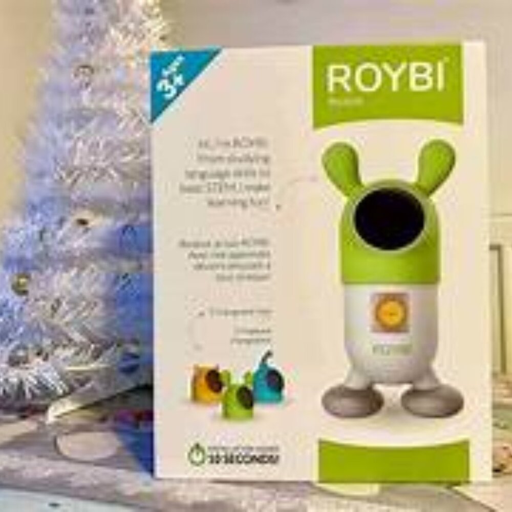 ROYBI Smart Educational Companion